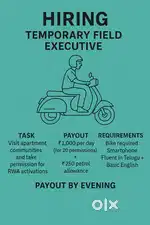 Temporary Field Executive