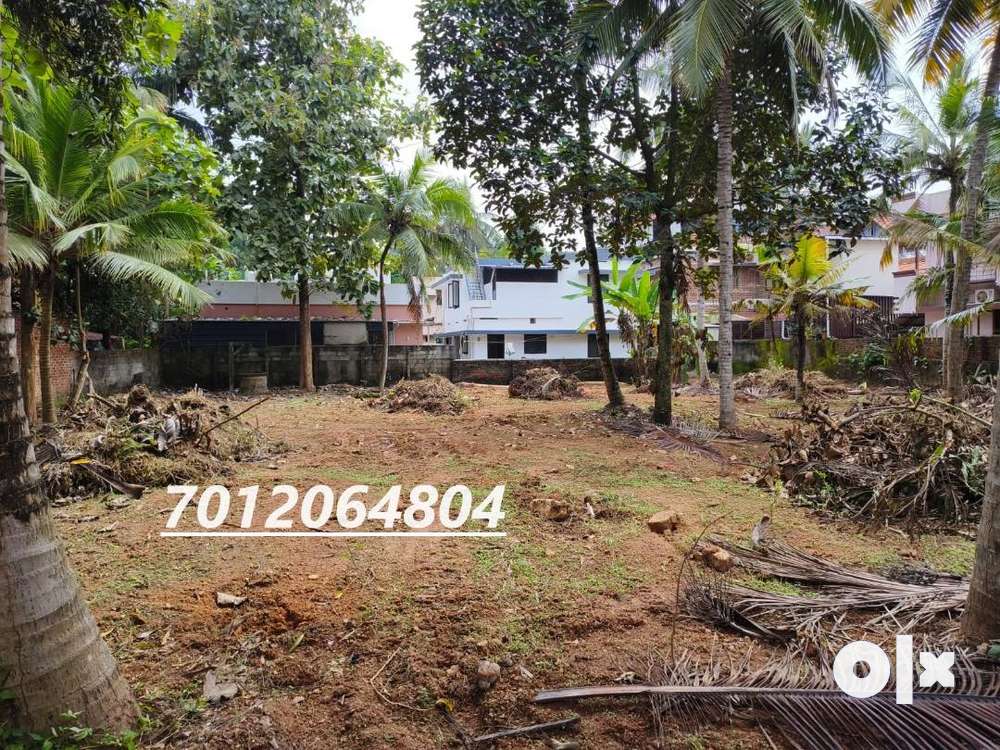 (ID-S199129) Residential 10 Cent Land For Sale At Edapazhinji