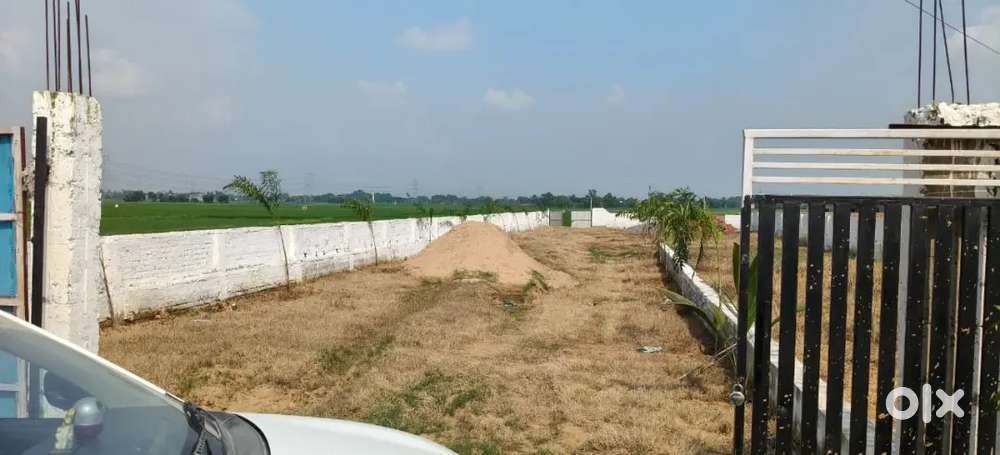 Urgent sale plot near IIT Patna
