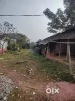 Selling my plot