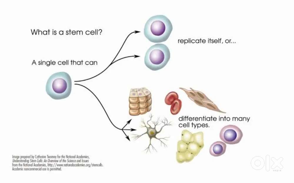 Male graduate required