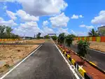 ANNA UNIVERSITY OPPOSITE PLOTS AVAILABLE