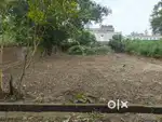 Residential Plot for Sale in Modi Xerox Colony, Rampur, UP