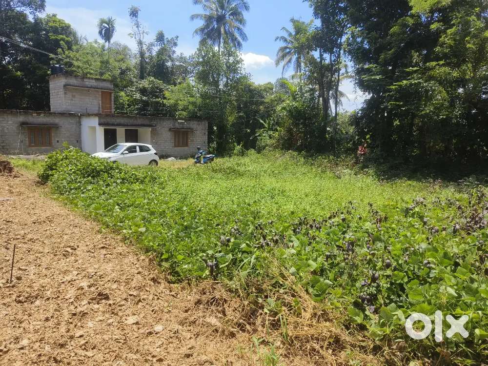 Kumbanad 7 cent square plot for sale