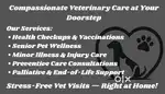 Home Visit Veterinary Care in Jabalpur | Comfort Care Vets