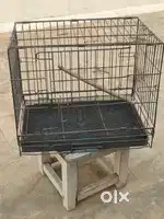 Birds Cage
