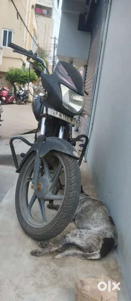 Honda shine