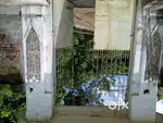 Old pucca house, front and back garden , a big pond