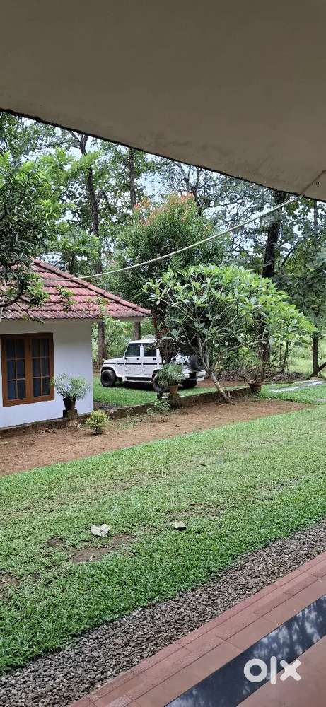 Nursing Assistant-Female