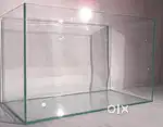1ft fish fish aquarium