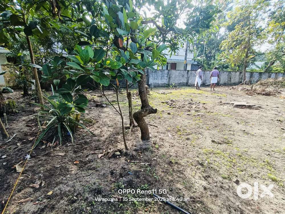 വരാപ്പുഴ തിരുമുപ്പം
ഹൗസ് പ്ലോട്ട്  ഹൈവേയിൽനിന്നും 350മീറ്റർ ദൂരംമാത്രം