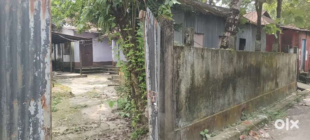 House with 5 decimal land sale
