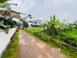 ആലുവ വാഴക്കുളം 6സെന്റ് പ്ലോട്ട് സെന്റിന് 5.60ലക്ഷം ,ബസ് റൂട് 250metr