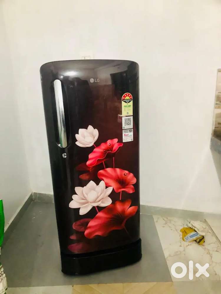 LG GL-D201ASLU/ 2025