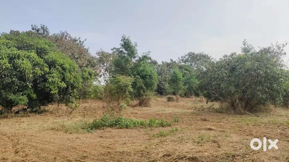 CC plot for Sale