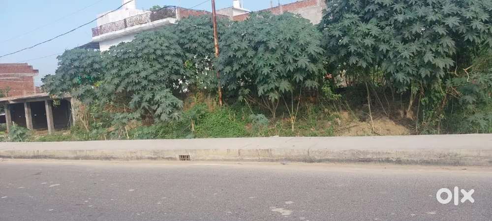 Freehold plot of 500 sq yard at Sherwani project main gate