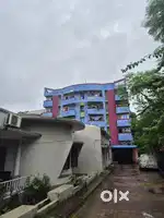 Newly renovated apartments for rent