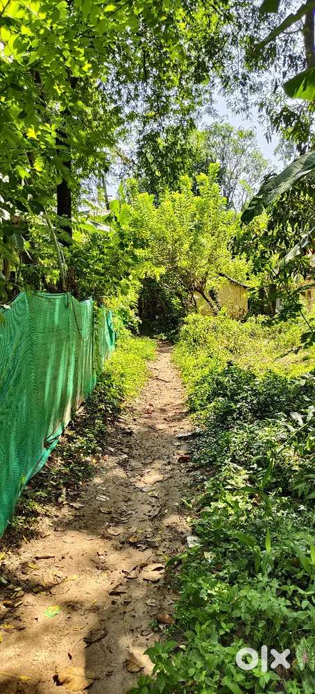 27 Cent Plot @ 70,00,000