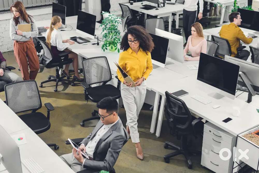 URGENT REQUIREMENT FOR BACK OFFICE