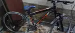 Racing cycle s