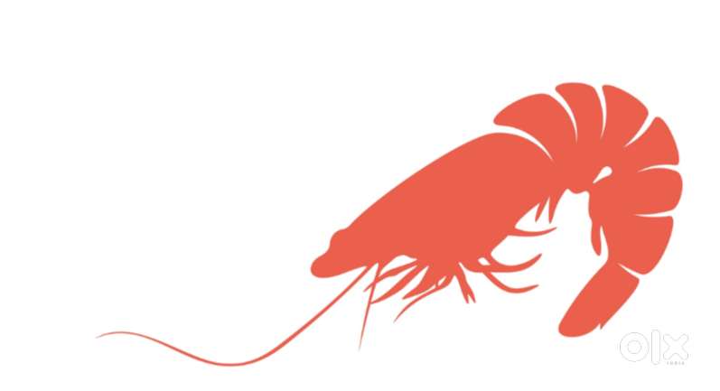 Electrician CUM Plumber - Near Bhimavaram - HATCHERY