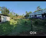 Plots available for sale at thanissery-chugam-irijalakuda -5,6,7 cent