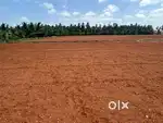 1 acer land for sale