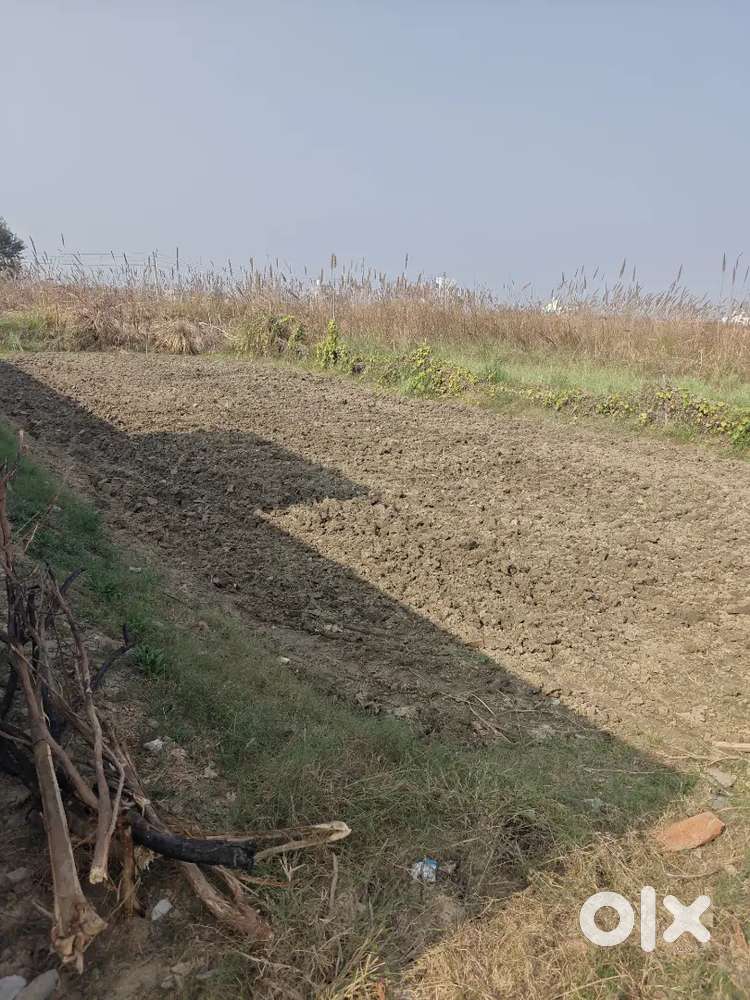 502 गज ग्रीन बेल्ट फेस प्लॉट सेक्टर 27, रोहतक