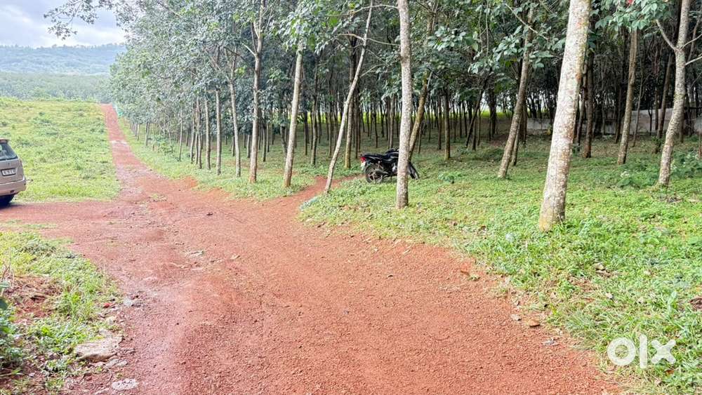 Plot for sale