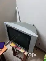 Phillips tv