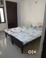 I need a girl roommate