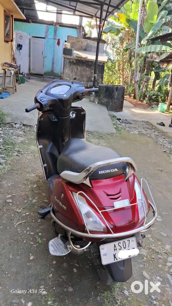 Scooty is in fine condition