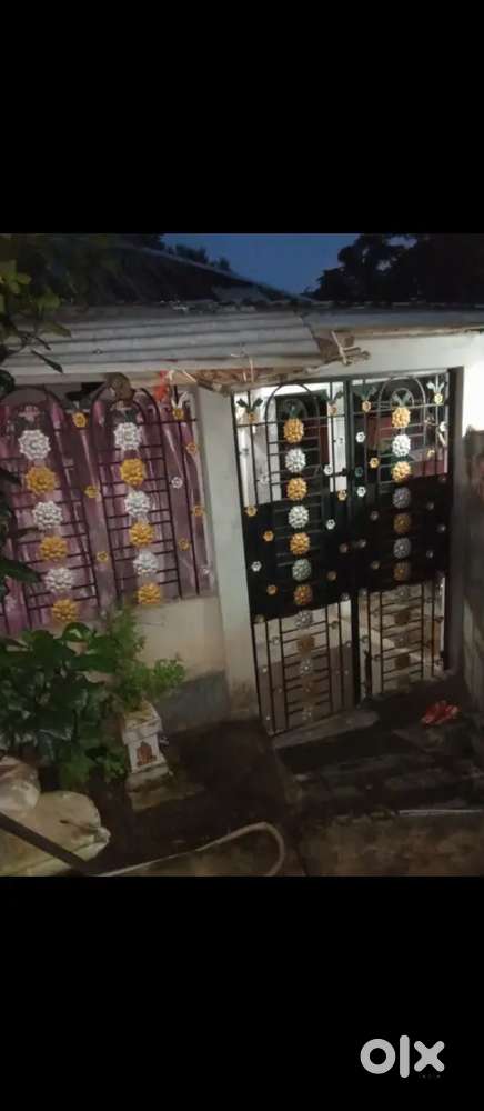 Jogendranagar bankumari area te ekta jaega bikri kora hobe