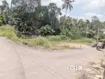 Main road side land 8.5 cents at Kottayam-athirampuzha road 4.25 Lakh/