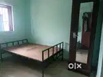 For male bachelor single room rent in kakkanad near infopark and csez
