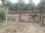 Agriculture land for sale