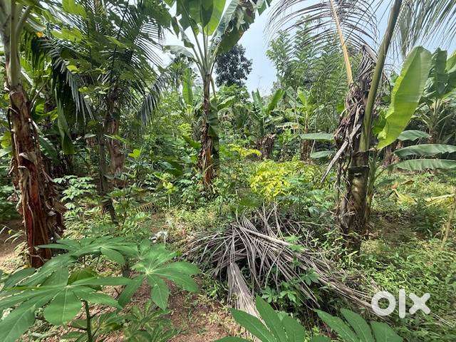 Agricultural/Villa plot for sale