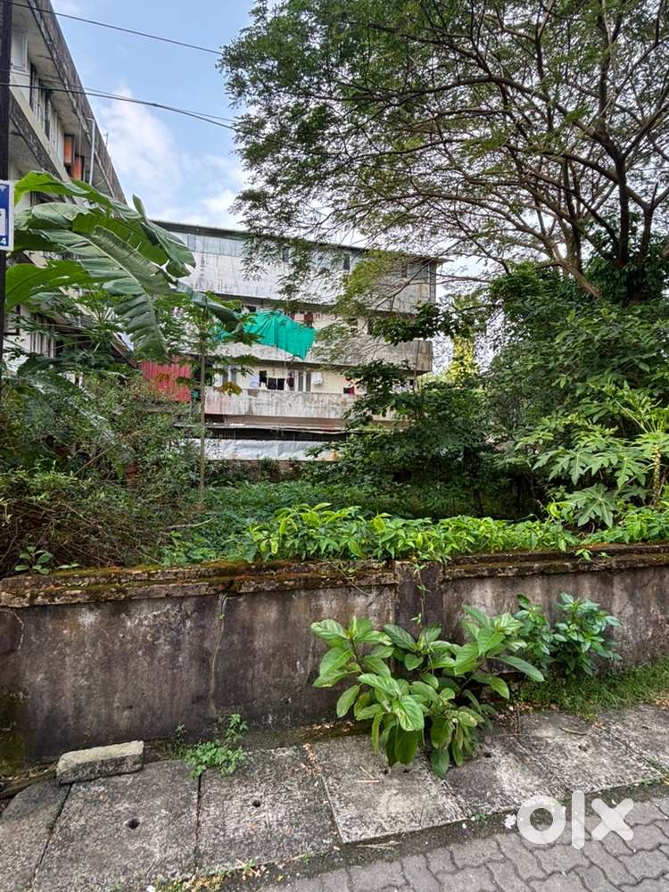 Land for sale on Banerji Road Kochi