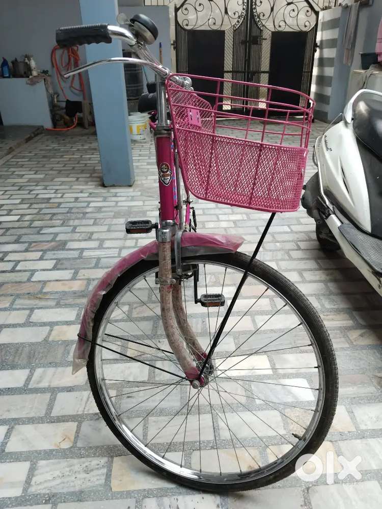 Polo Cycle
