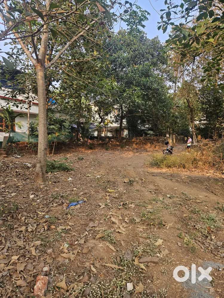 12 cent Housing Plot sale at Thaliparamba manna