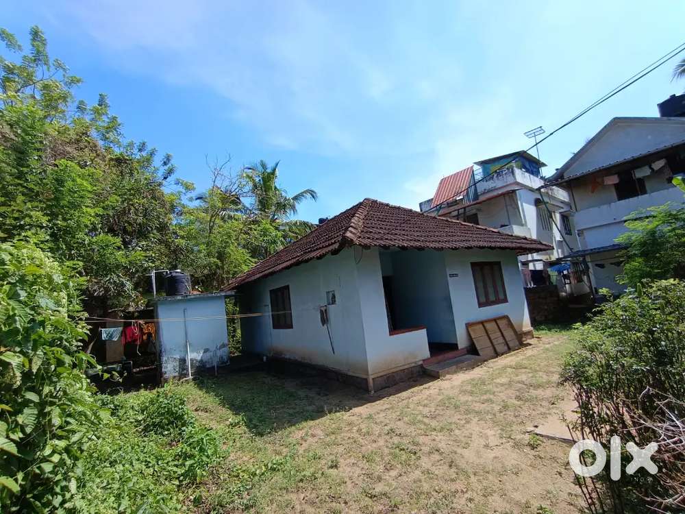 House for rent near bhutroad beach