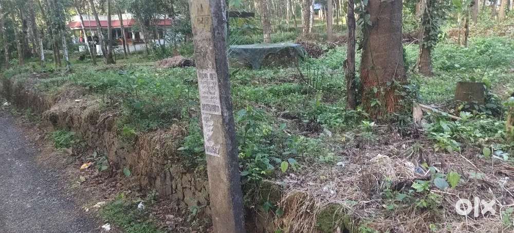 ഏറ്റുമാനൂർ  mc റോഡിൽ നിന്നും 300 mtr ദൂരത്തിൽ 5 സെന്റ് സ്ഥലം