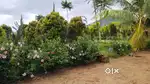 RESORTS PLOTS FOR SALE GUMMAKOTA ARAKU