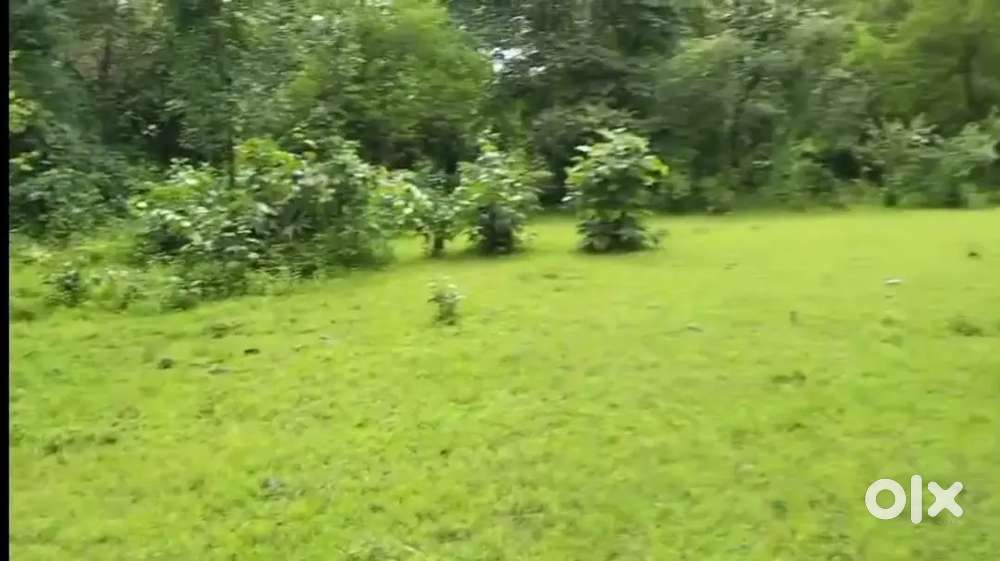 18LAKHS PER ACER-SARALGAON MURBAD LOCATION-25ACRES AGRICULTURE LAND