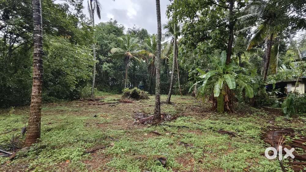 Plot for sale