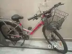 ALTER (Electric Cycle)