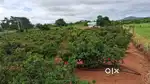 HOSUR SURROUNDING AGRICULTURE AND INDUSTRIAL LAND FOR SALE