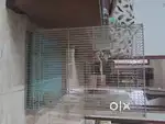 Birds cage