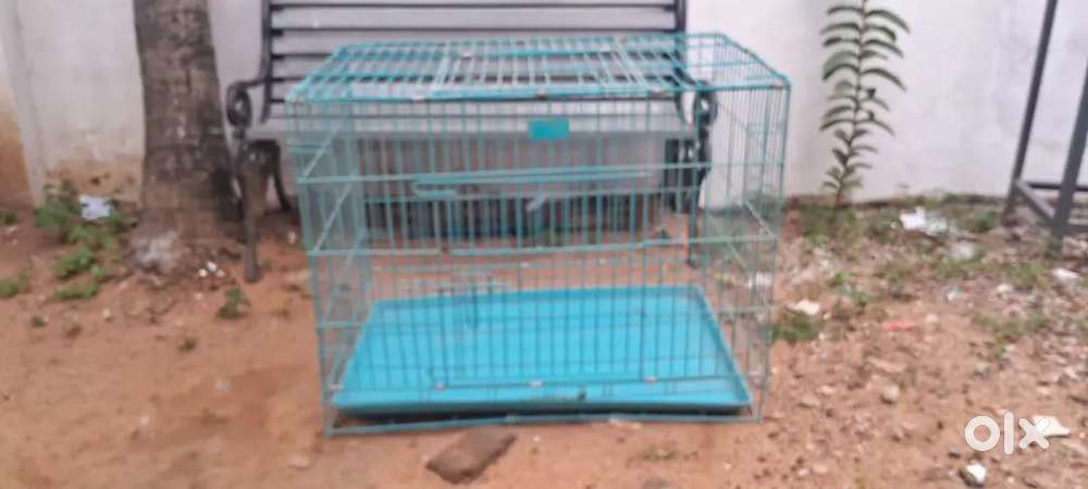 cage Bird dog
