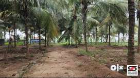 Farmland with godown for sale in Kozhinjampara, Palakkad
